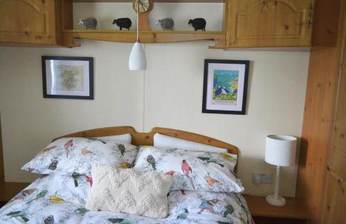 Swallows Return - Foto 12