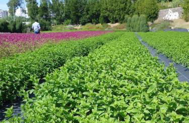 Herama House - Foto 26