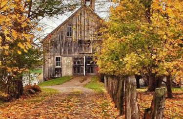 Panther Mountain Lodge - Photo 16