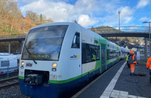 Ferienhaus Le Bain du Corbeau - inklusive Gratis-Eintritt zu 80 touristischen Highlights im Schwarzwald - Foto 46