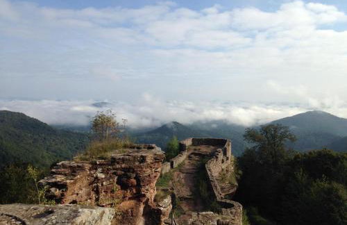 Ferienwohnung Burkhart - Foto 44