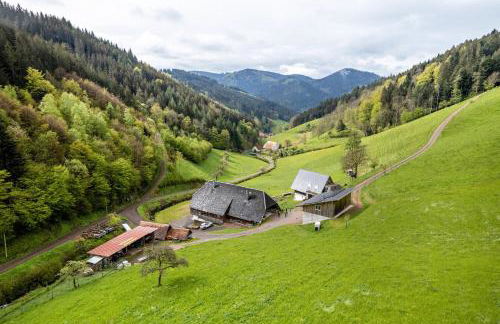Ferienwohnung Metzgerbauernhof - Foto 18