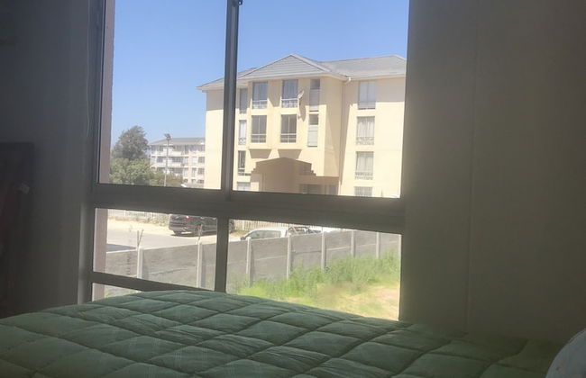 Cosmopolita - Foto 4