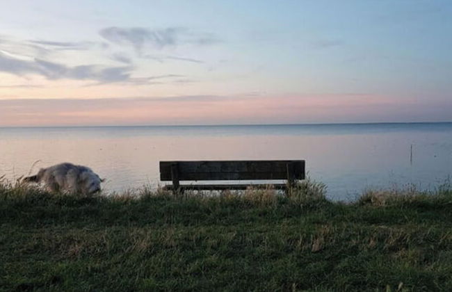 Holiday Home Deichblick 58 - Foto 24