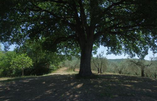 Borgo Buciardella - Foto 40