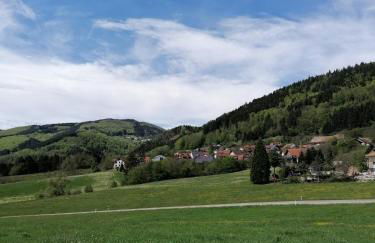 Schwarzwald Appartement - Foto 35