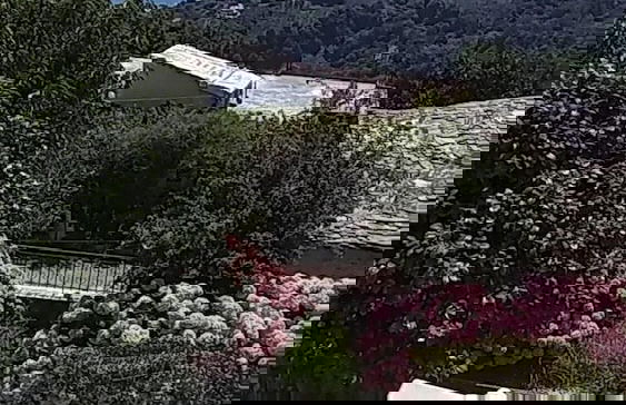 Villa Zina Studio 3 Pelion - Foto 10