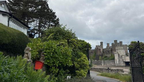 Benarth Lodge uniquely situated hideaway in Conwy - Foto 4, Garden, Garden view