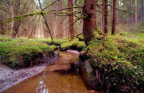 Residence Vis à Vis - Foto 14