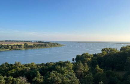 Słoneczna Przystań - Foto 49