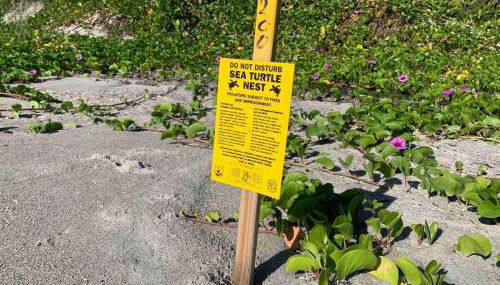 Quaint Coastal Pool Home on Florida's Space Coast - Foto 3