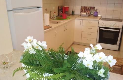 Apartment Villa Panorama - Foto 51