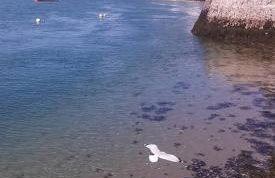 Deer Cabin-hot tub-dog friendly-mountain view - Foto 42