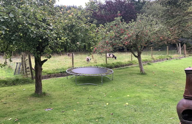 2-bed Cabin Sleeps 4 -small Pets Ok -free Parking - Foto 13