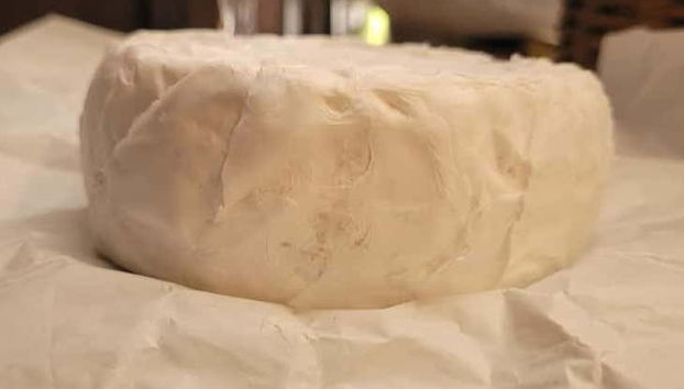 Pronti ad assaporare diversi tipi di formaggio