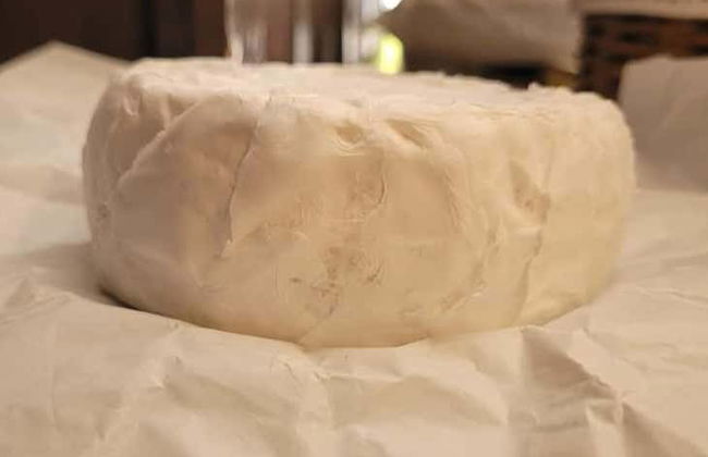 Degustação de vinhos e queijos em Guitiriz - Foto 5