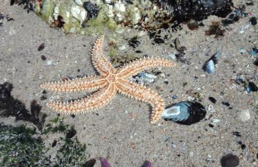 Casas do Pedro T3 - Foto 30