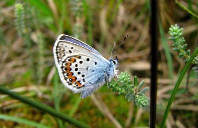 Group Home in Giethoorn With Waterside Terrace - Photo 21