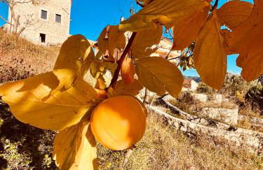 Torretta Margiotta - Foto 36