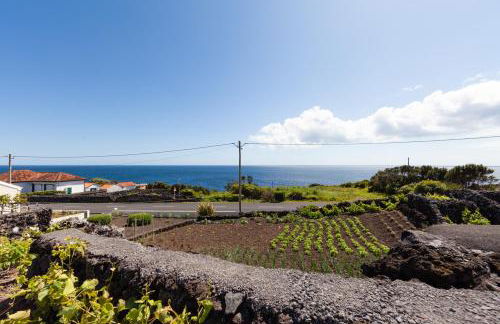 Cantinho do Sossego - Photo 17