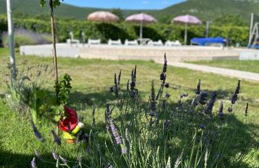 Kuća za odmor Silvano - Foto 22