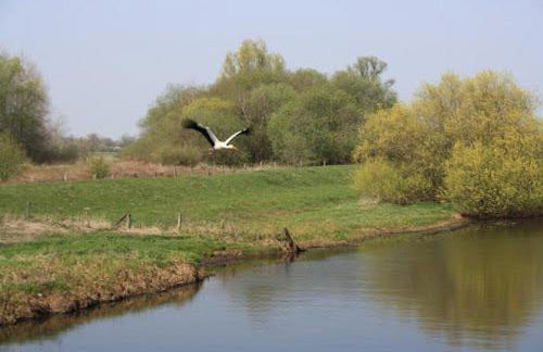 Haus Friedrichsen - Photo 38