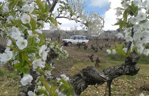 Casa Rural en Lerma - Photo 11