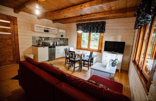 Chata Pod Lasem - Foto 44