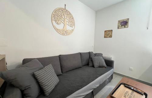 Appartement T2 40 M2 cosy RDC plein centre ville - Foto 11