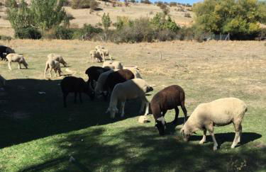 Alojamientos Turisticos La Utrera - Foto 6