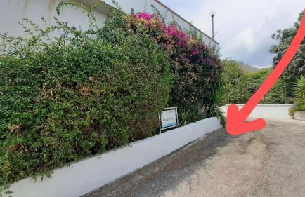 Blumarine Dh - Foto 30