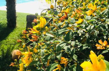 Residenza Eden - Foto 15