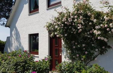 Wildrose EG (2) - Photo 2