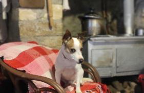 Melissa Apartments - Photo 26