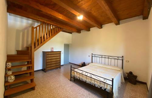 Colle Costanza - Foto 19