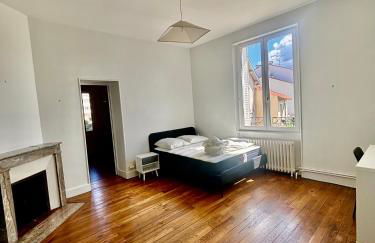 Grande Maison Clermont Ferrand - Foto 9