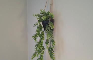 Apart Martínez Rosalía - Foto 53