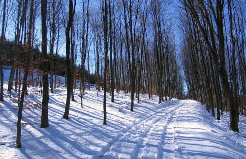Escapada con encanto cerca de Porte-Puymorens y Andorra - Photo 24