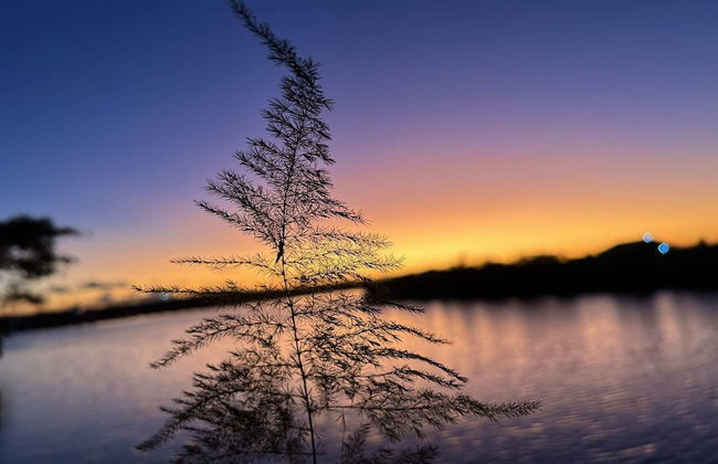 Gardenia Apartment - Photo 27