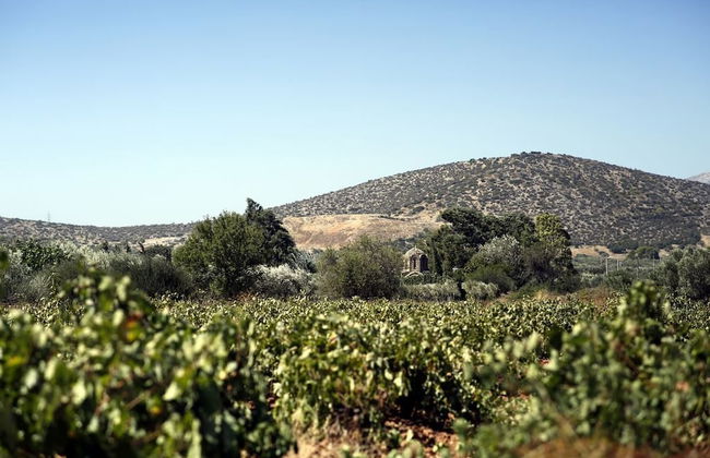 Outstanding Panoramic View, 10΄ Beach, 20΄ Airport - Foto 30