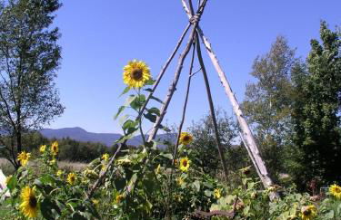 Meadow House Backcountry Residency - Foto 26