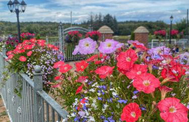 Dulrush Self-Catering Lodges - Foto 76