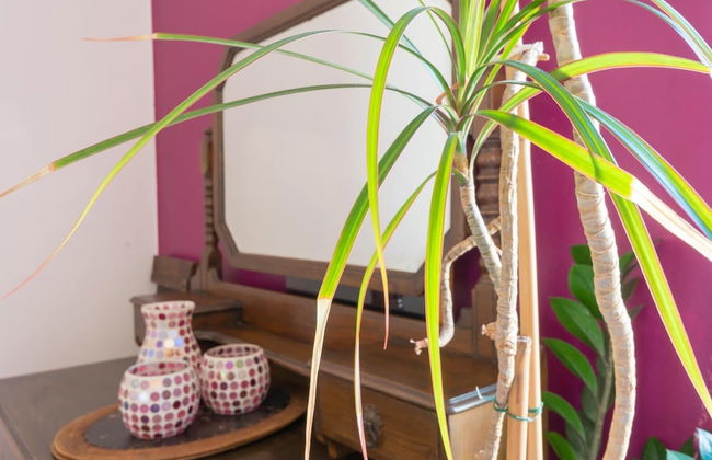 Navigli 7 Apartment - Photo 13