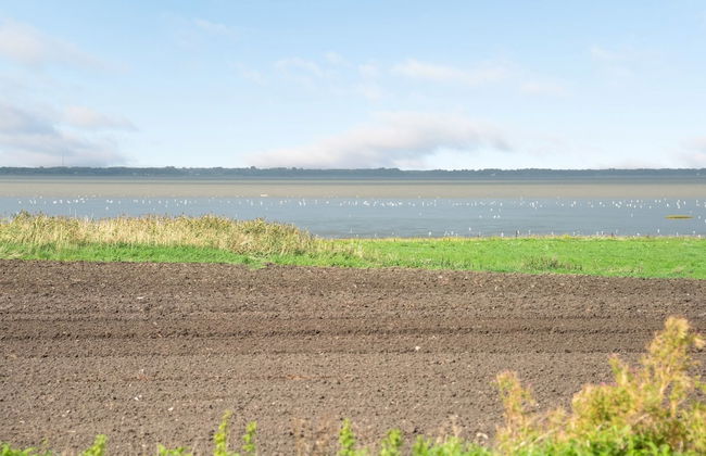 "Kielo" - 10km from the sea - Foto 3