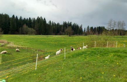 Lieblingsplatz - Foto 15