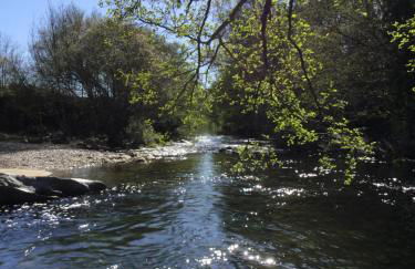 Unhais Valley - Country House - Foto 63