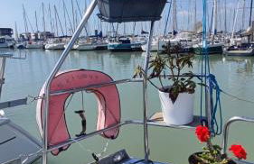 Sailboat land and sea, vegetated - Foto 19