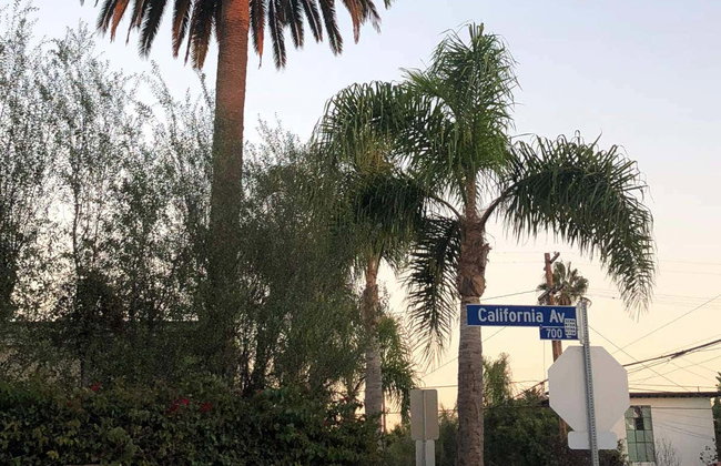 Visite de Venice Beach - Photo 4