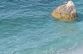 Casa Pineta - Foto 30