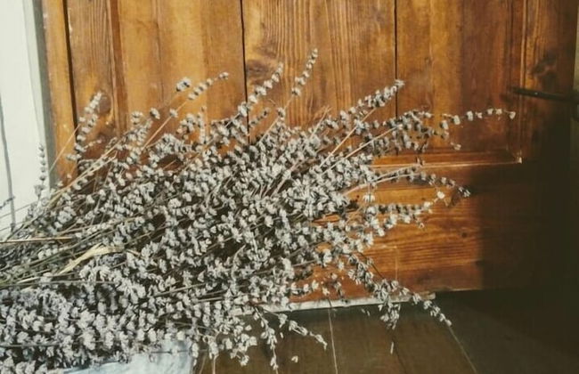 Azienda Agricola Baccagnano - Photo 33